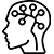 Liver & gastric