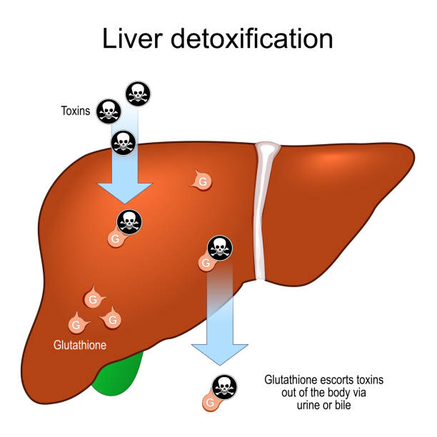 Detox